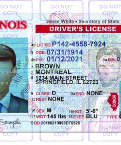 Illinois Driver License Template