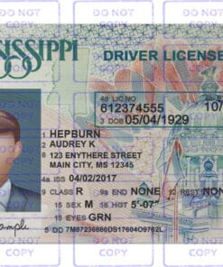 Mississippi Driver License Template