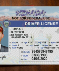 Nevada Driver License Template