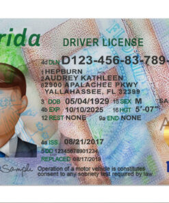 Florida Driver License Template