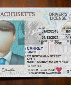 Massachusetts Driver License Template
