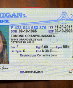 Michigan Driver License Template