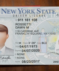New York Driver License Template