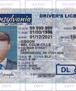 Pennsylvania Driver License Template