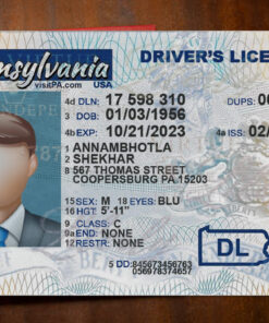 Pennsylvania Drivers License Template