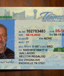 Tennessee Driver License Template
