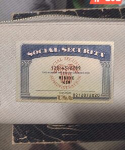 Illinois Social Security Card Template