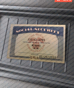 Michigan social security card template download