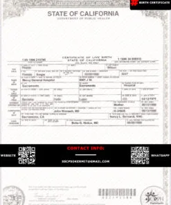 Temporary Driving licence